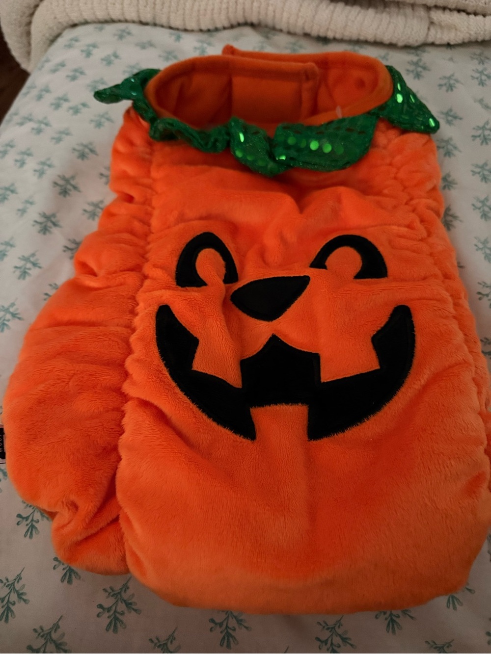 Pet Orange Pumpkin Costume with Green Leaf Collar-Costume size Large -NWOT